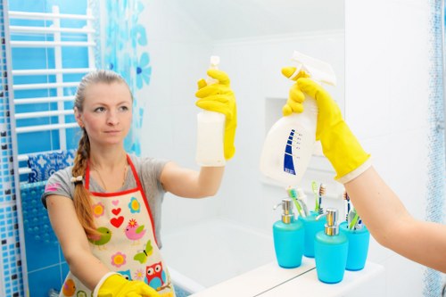 Professional oven cleaning service in Harrow for local homes and businesses