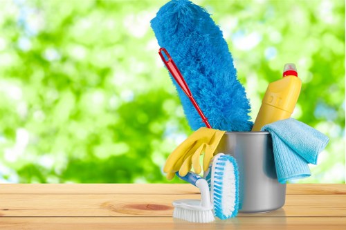 Regular cleaning service for Harrow homes and flats