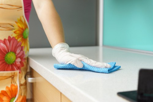 Professional cleaners in Harrow providing local home cleaning services