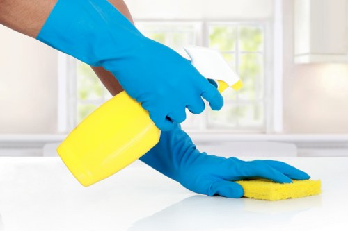 Deep cleaning a mattress in a Harrow home