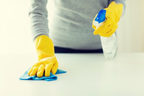 Cleaner preparing to clean upper windows on a Harrow home