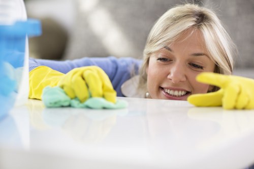 Deep rug washing and stain treatment service for local properties
