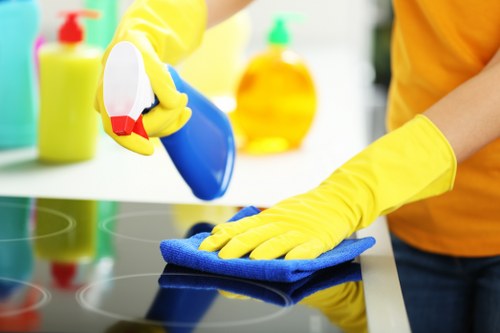 Detailed move-out cleaning checklist for tenants, landlords, and agents in Harrow
