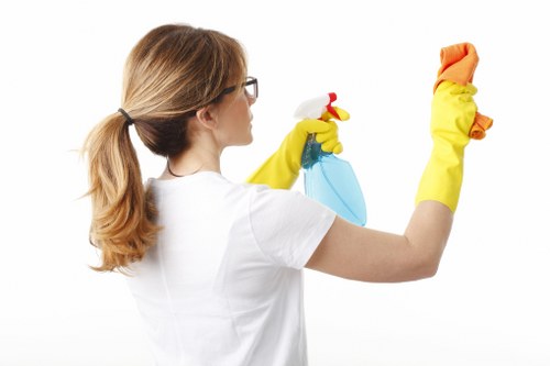 Dust removal and surface cleaning after builders in Harrow