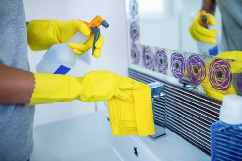 Kitchen and bathroom cleaning during a routine visit in Harrow